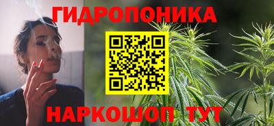 спиды Аргун