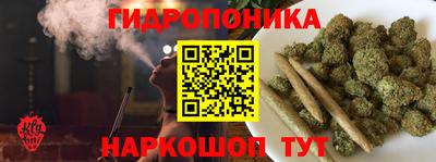 спиды Аргун