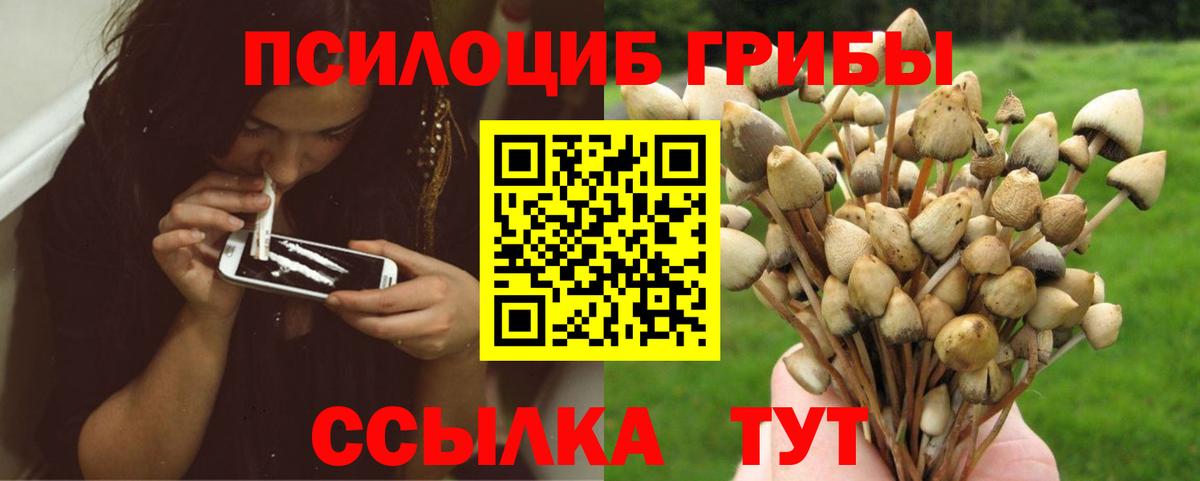 Галлюциногенные грибы Cubensis  Вход с VPN  Борисоглебск 